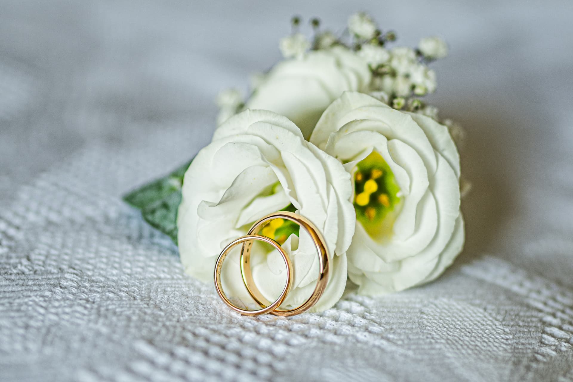 Fedi nuziali dorate appoggiate su rose bianche
